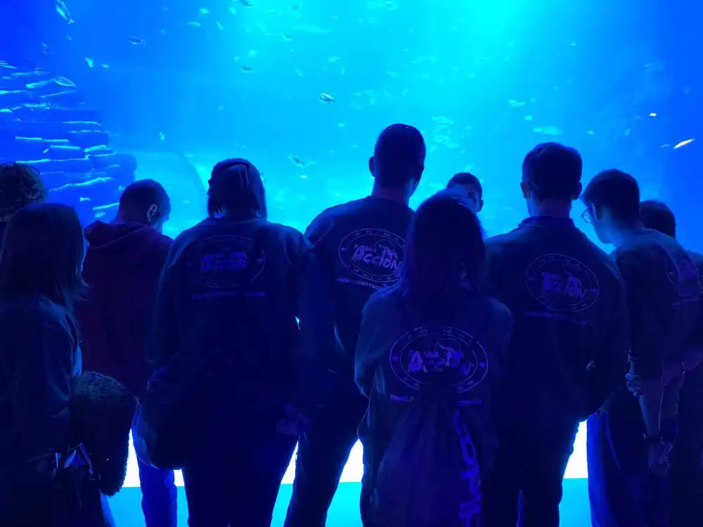 equipo-practicas-grandes-acuarios Grandes Acuarios y Fauna marina