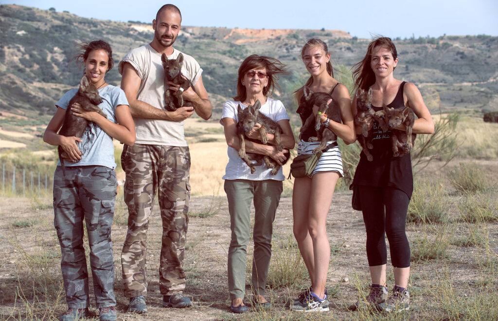 Centro Faunara. Formación especializada en fauna marina Centro Faunara. Formación especializada en fauna marina