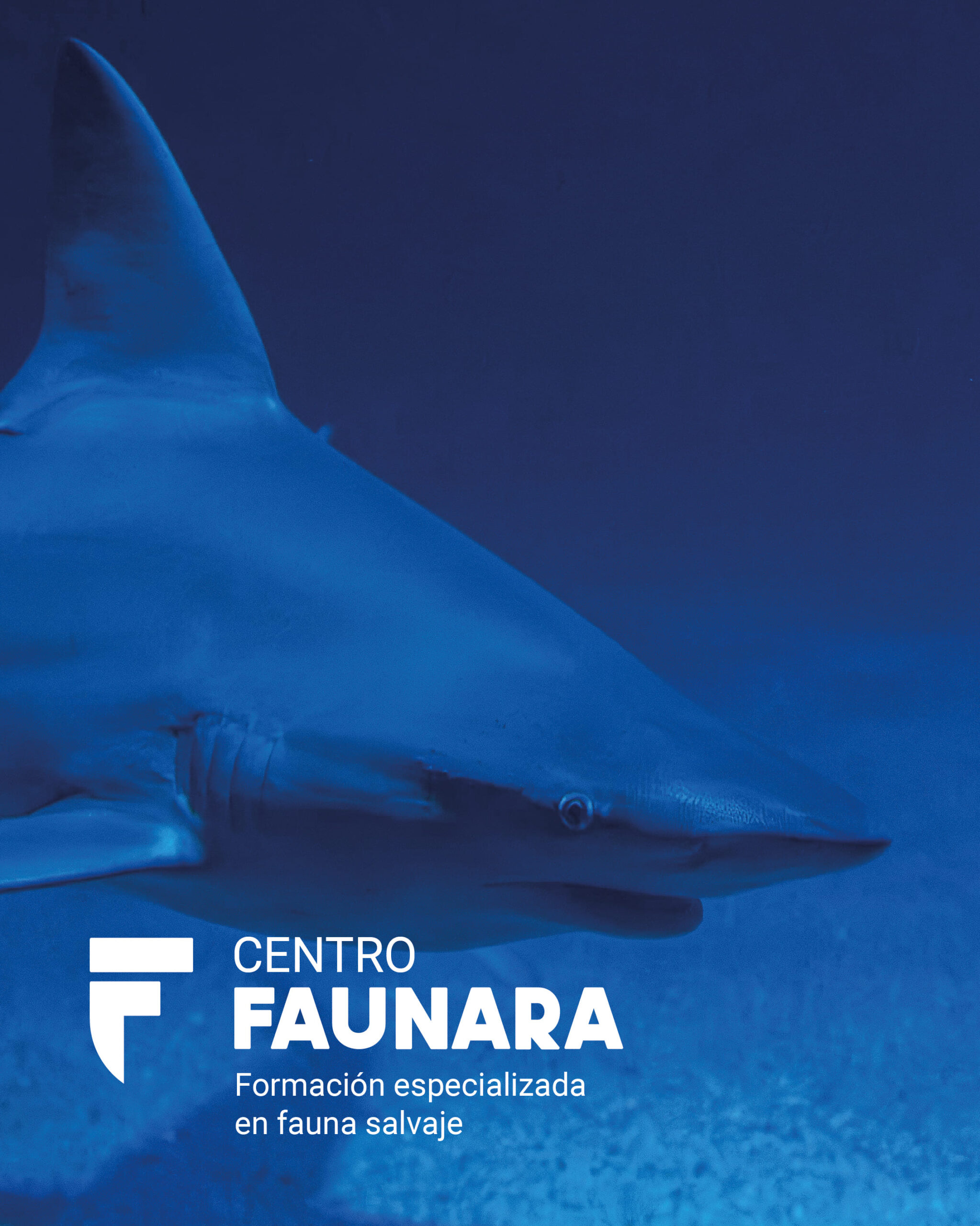 CURSO DE TÉCNICO SUPERIOR ESPECIALISTA EN FAUNA MARINA Y CONSERVACIÓN DE GRANDES ACUARIOS