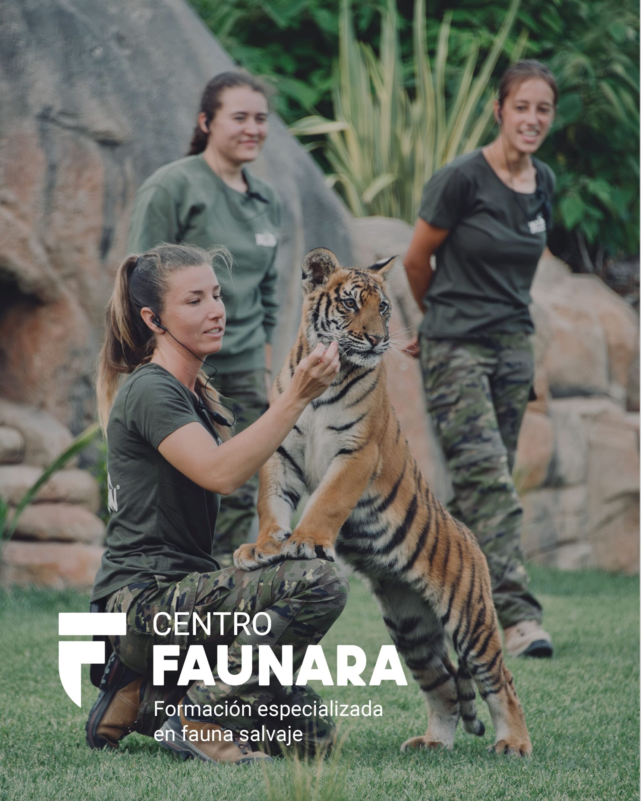 CURSO DE TÉCNICO SUPERIOR EN BIENESTAR ANIMAL Y REHABILITACIÓN DE ESPECIES SALVAJES