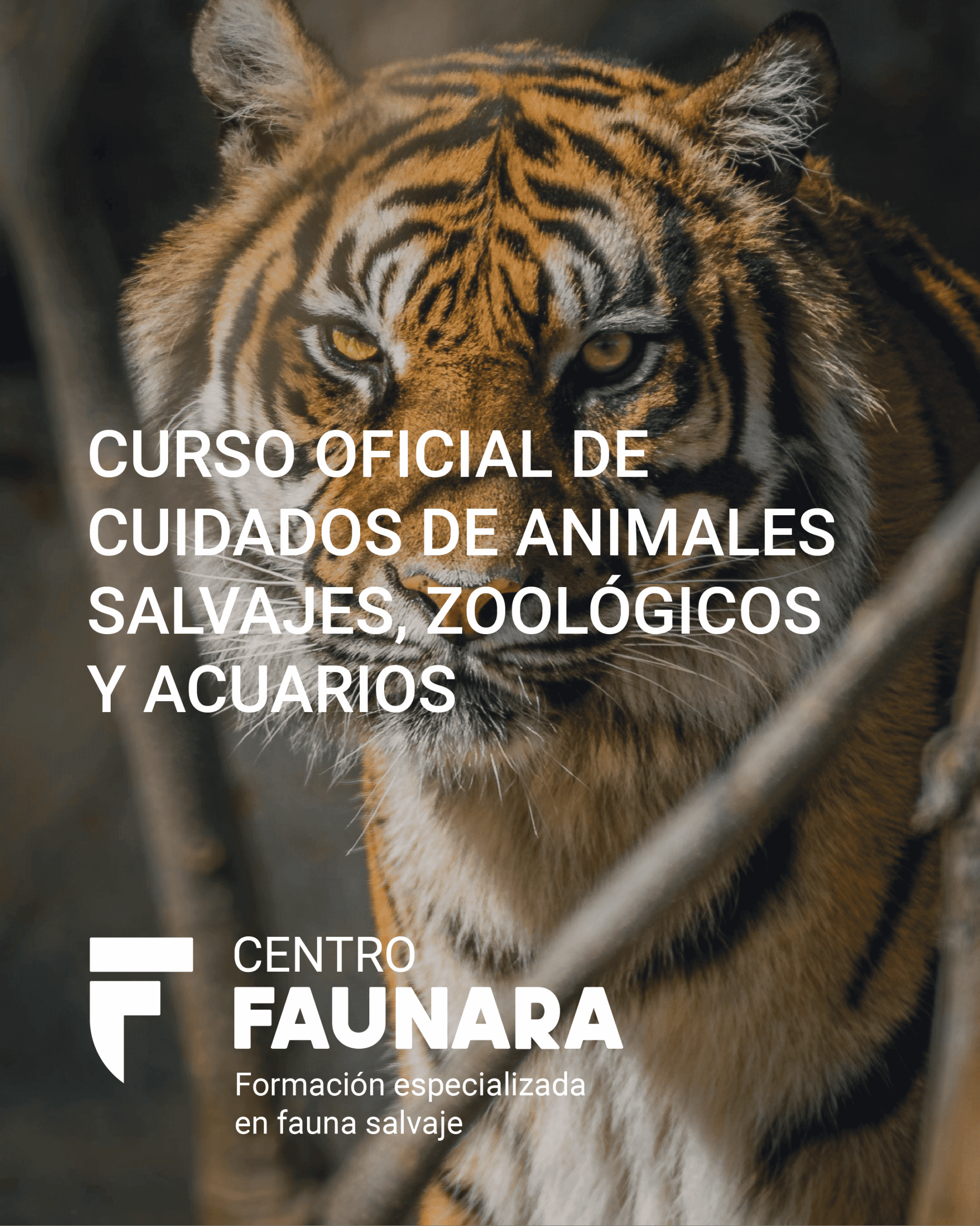 CURSO OFICIAL DE CUIDADOS DE ANIMALES SALVAJES, ZOOLÓGICOS Y ACUARIOS
