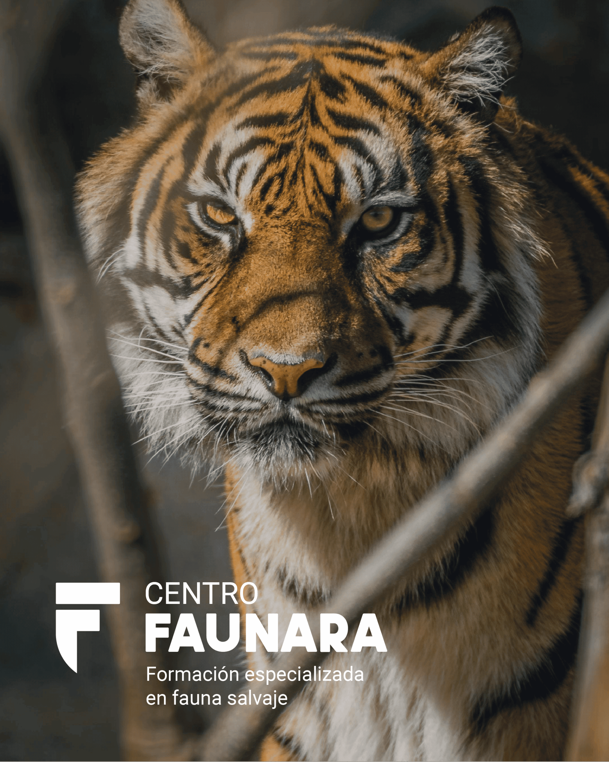 CURSO OFICIAL DE CUIDADOS DE ANIMALES SALVAJES, ZOOLÓGICOS Y ACUARIOS