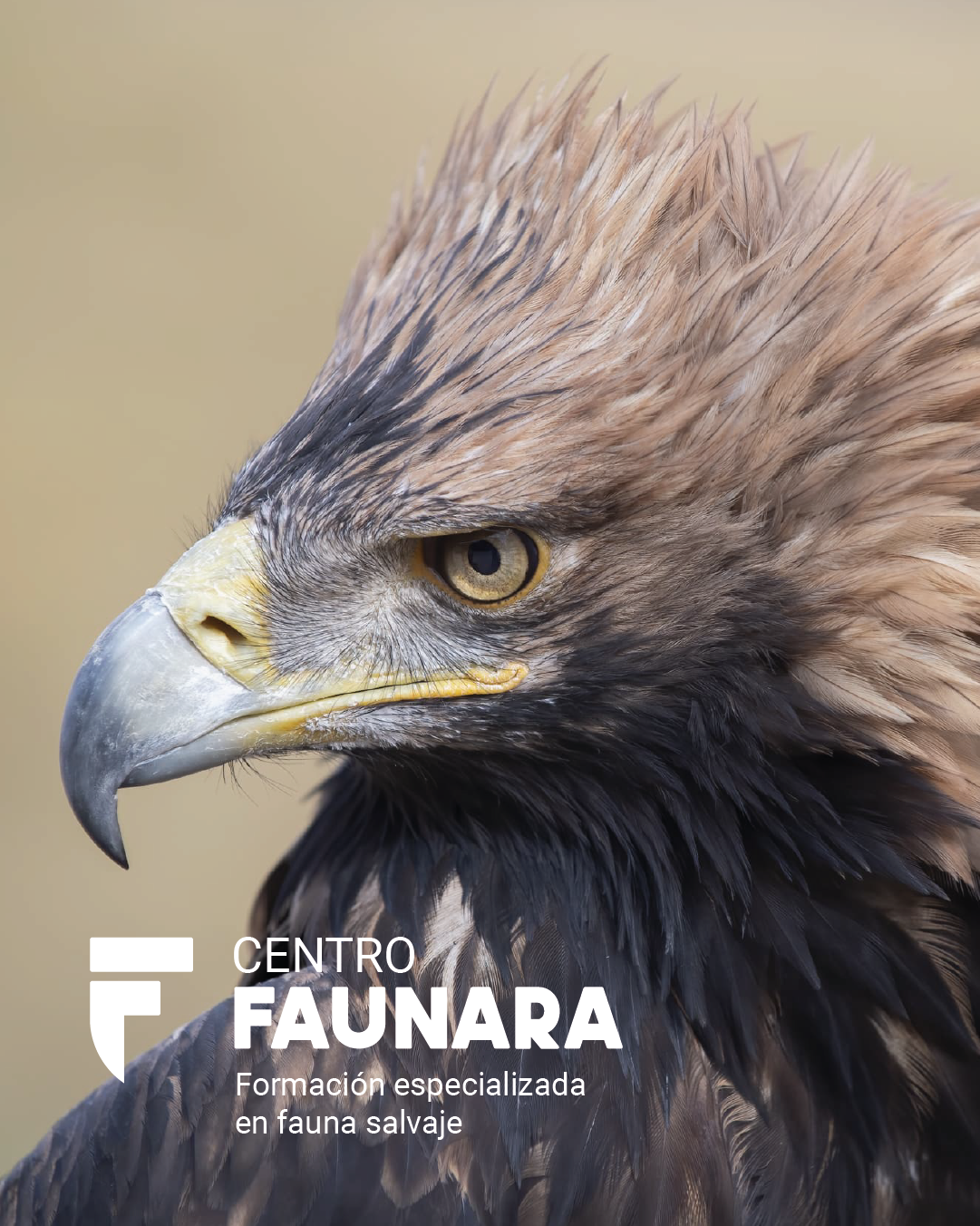 CURSO MANEJO Y RESCATE DE FAUNA AUTÓCTONA