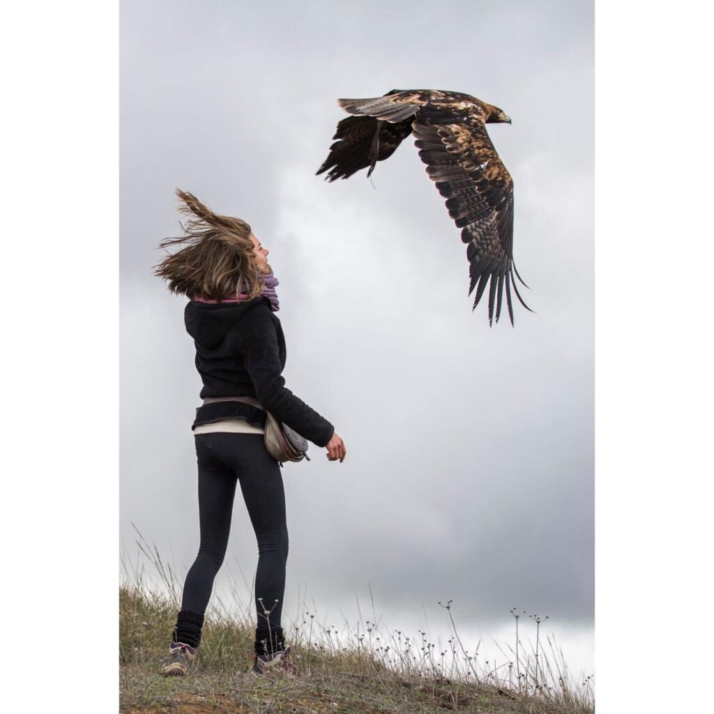 Faunara Curso entrenamiento bienestar animales águila imperial faunara curso con aguilas