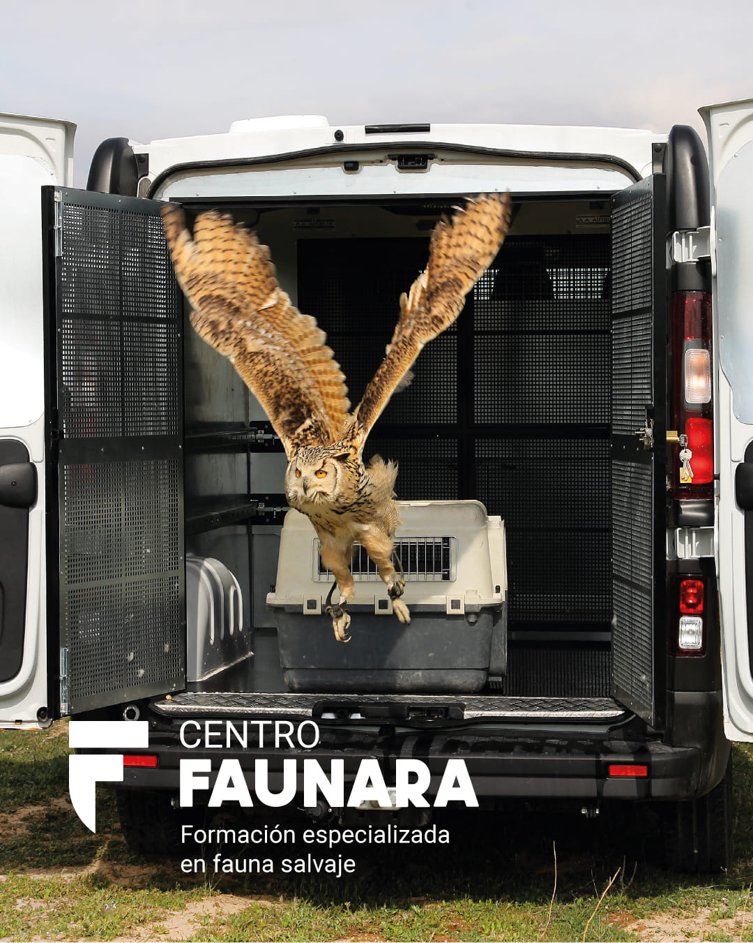 curso de bienestar animal