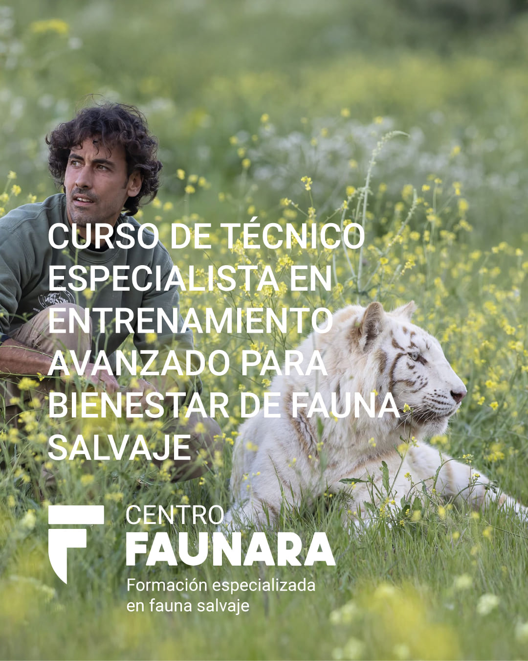 curso tecnico especialista