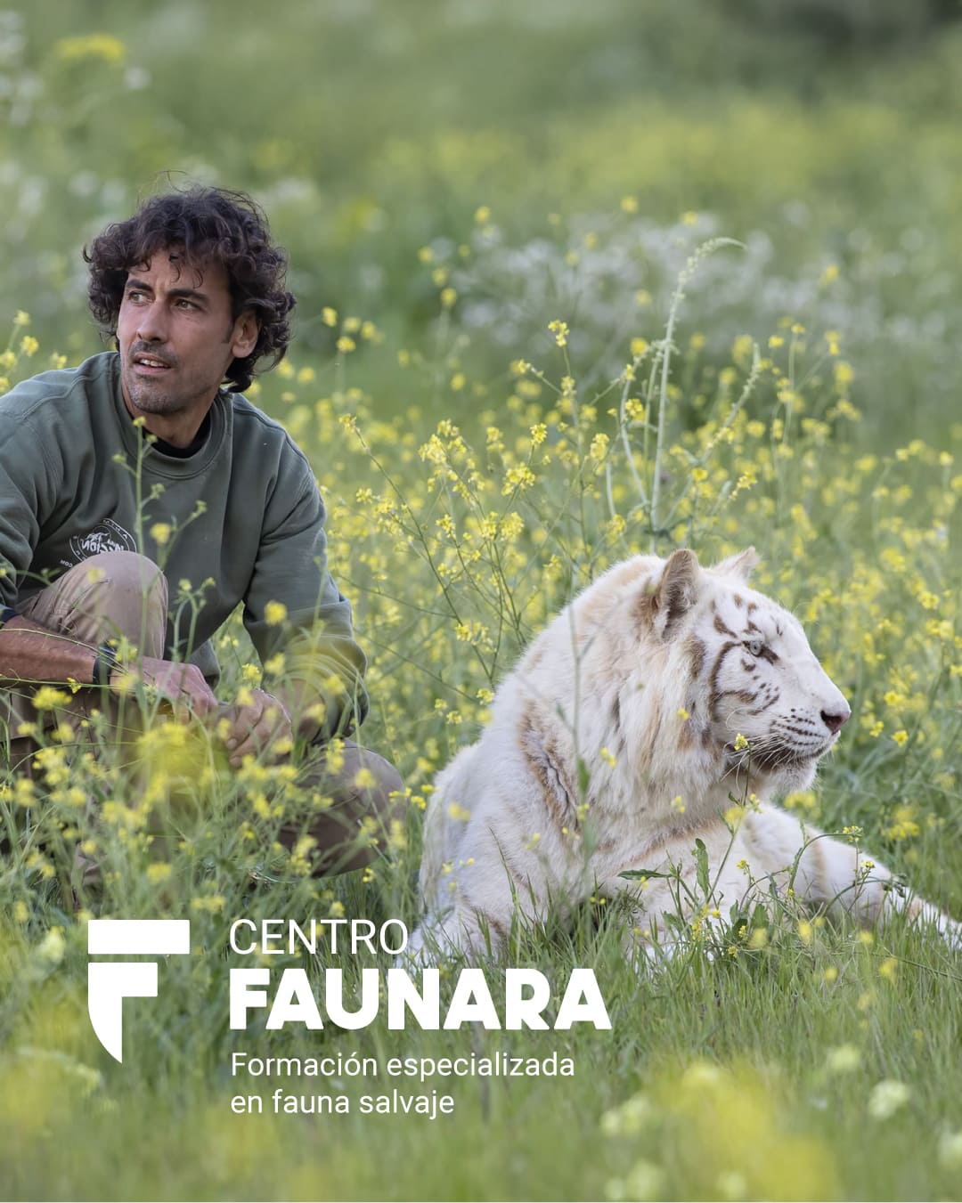curso entrenamiento avanzado bienestar animal