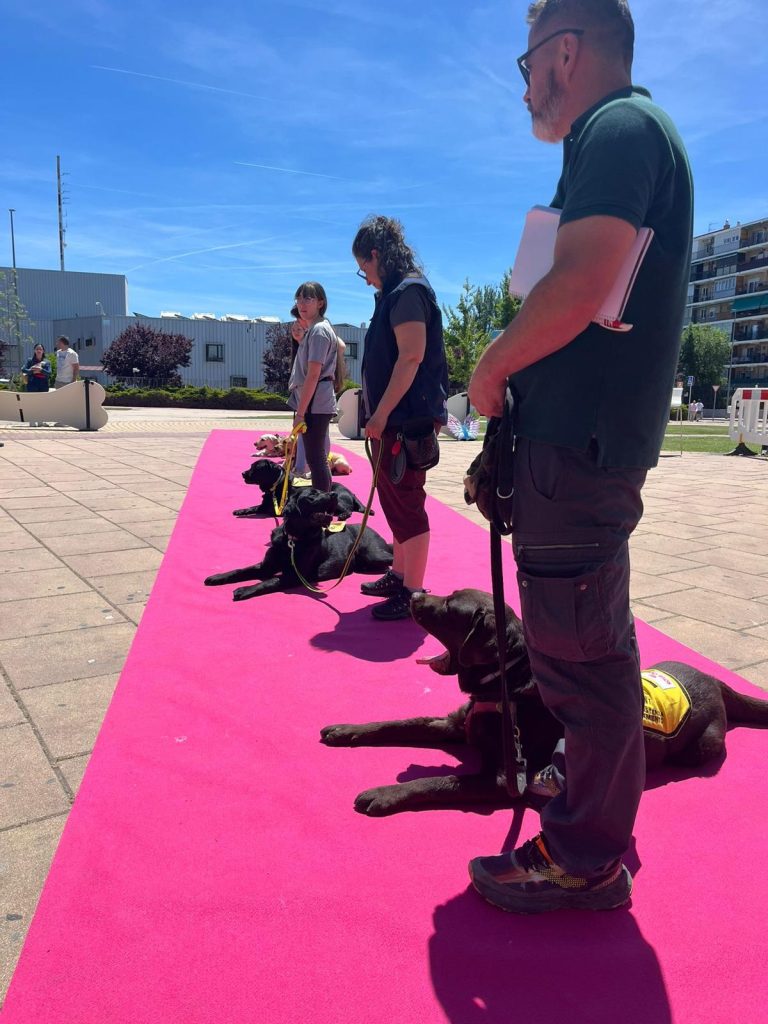CURSO INSTRUCTOR DE PERROS DE ASISTENCIA (1)