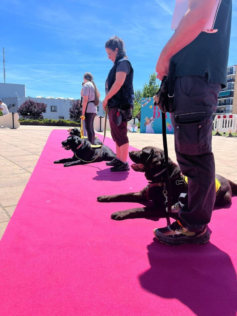 CURSO INSTRUCTOR DE PERROS DE ASISTENCIA (2)