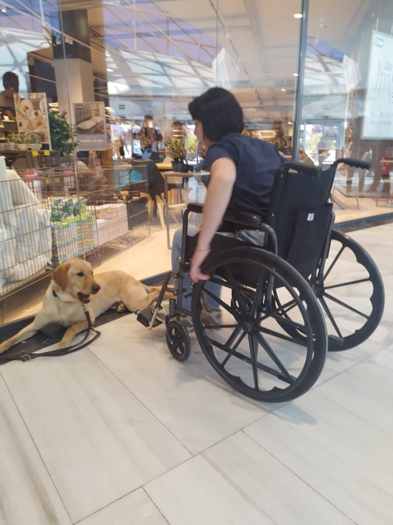 CURSO INSTRUCTOR DE PERROS DE ASISTENCIA (3)