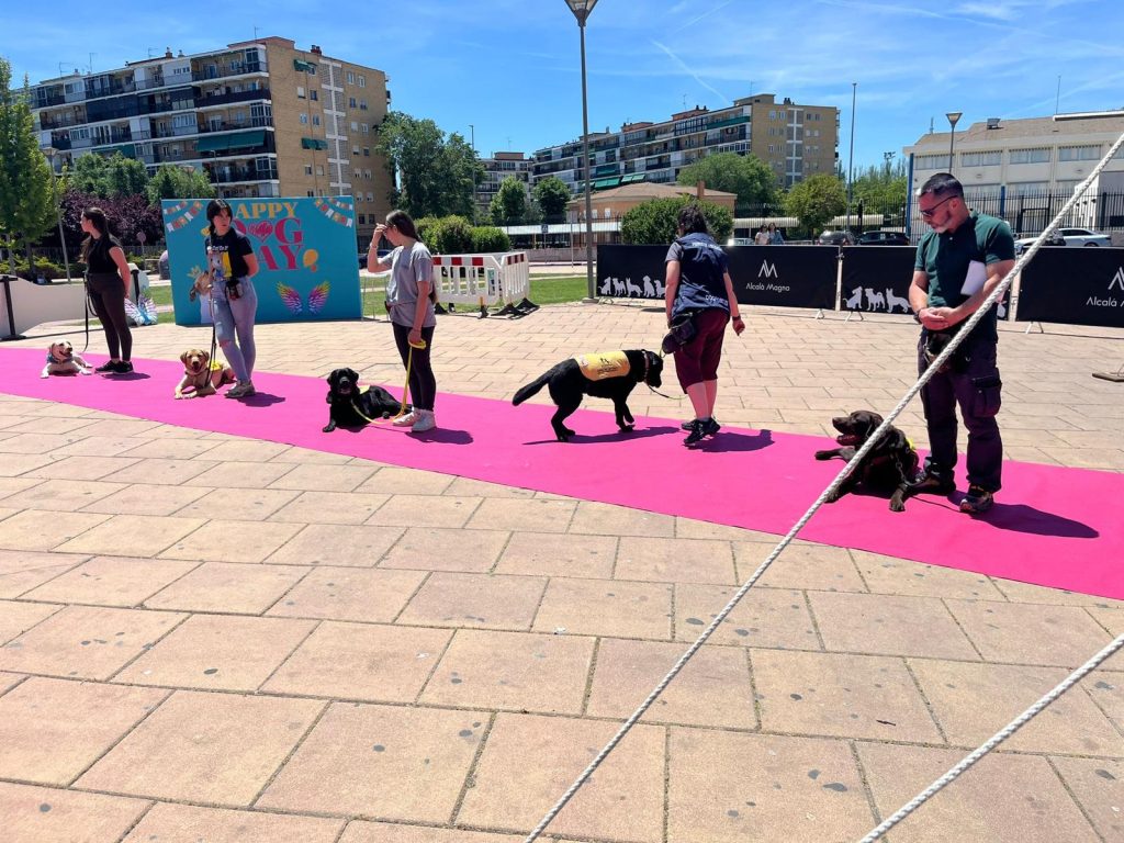 CURSO INSTRUCTOR DE PERROS DE ASISTENCIA (4)